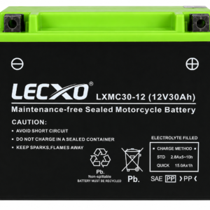 Rechargeable Sealed Lead Acid Battery 12V 30AH